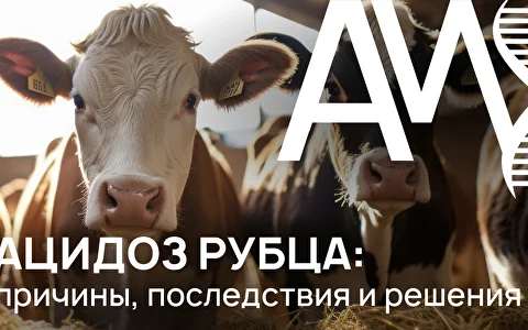 Ацидоз рубца: причины, последствия и решения